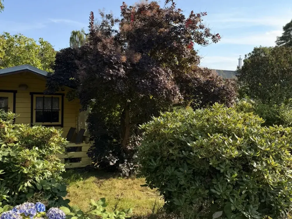 Neubau-Erdgeschosswohnung in Schmarl-Dorf mit Terrasse & Garten zur Alleinnutzung