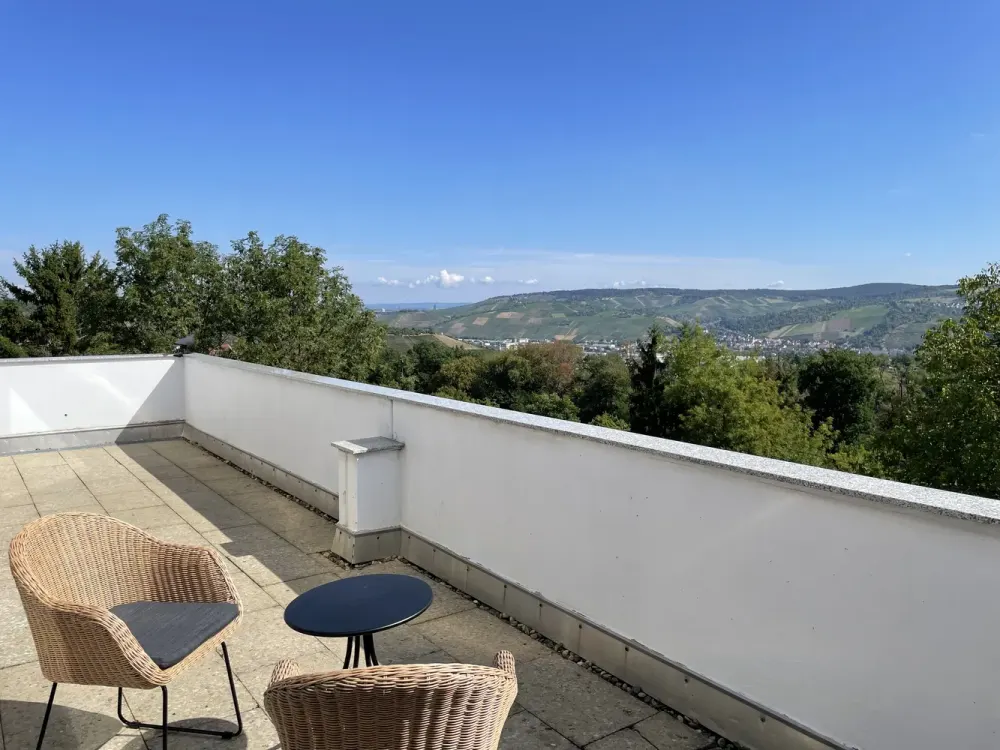 Malerische 2-Zimmer-Dachterrassenwohnung mit Blick auf die Weinberge