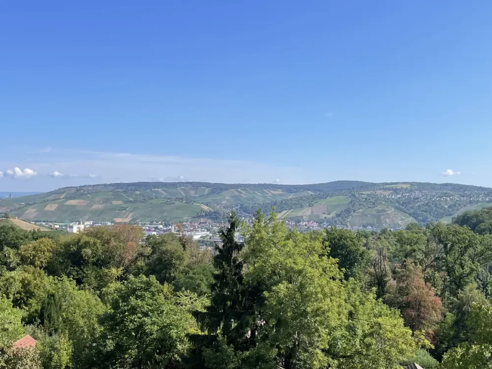 Malerische 2-Zimmer-Dachterrassenwohnung mit Blick auf die Weinberge