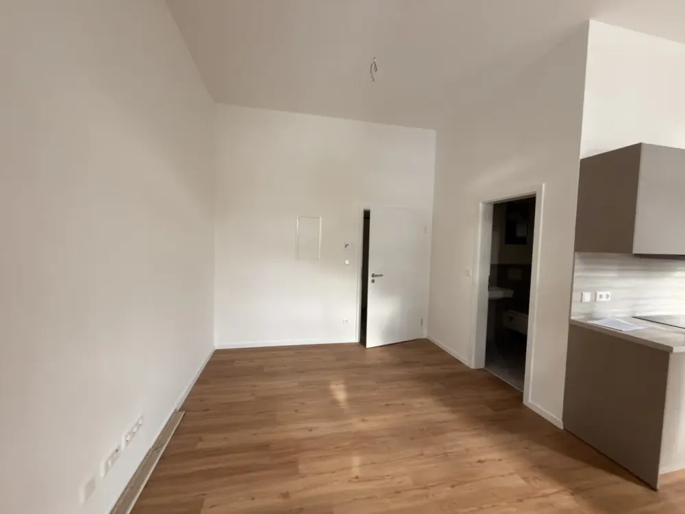 First Occupancy After Complete Renovation | Modern 1-Room Apartment
