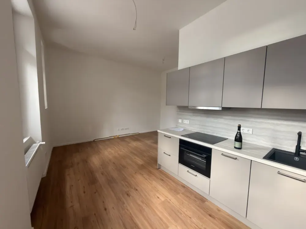 First Occupancy After Complete Renovation | Modern 1-Room Apartment