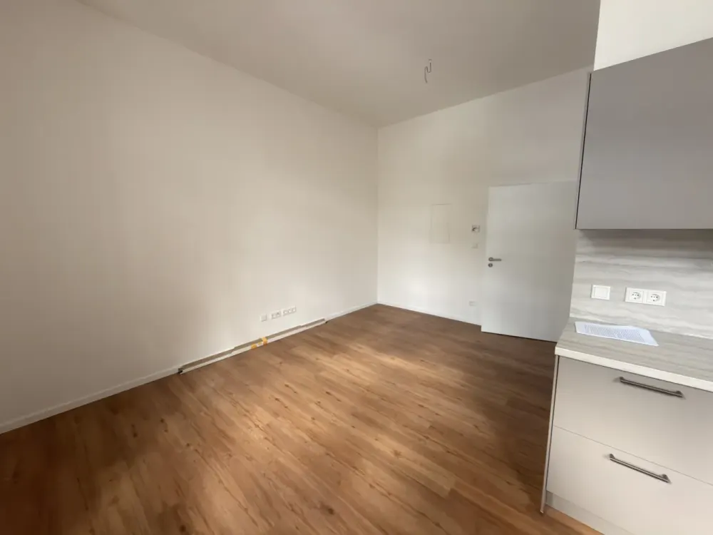 First Occupancy After Complete Renovation | Modern 1-Room Apartment