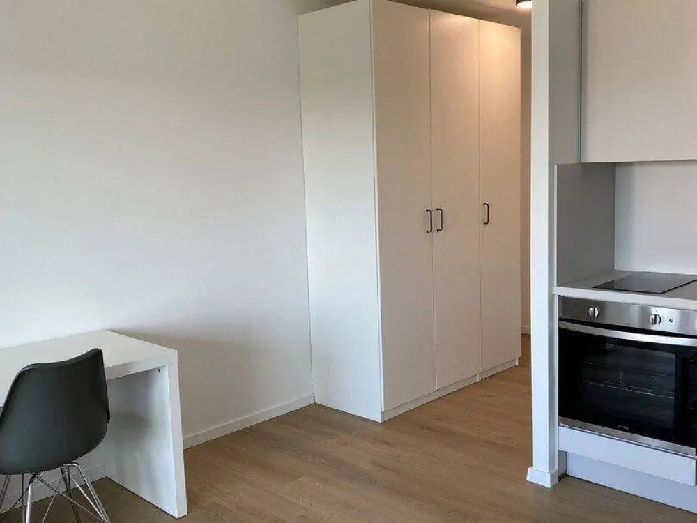 Furnished 1-Room Apartment in Prime Location Central Munich