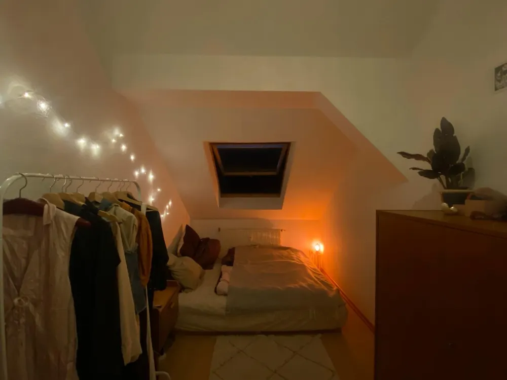 Lichtdurchflutete Wohnung zur Zwischenmiete (Nov.-Dez.)