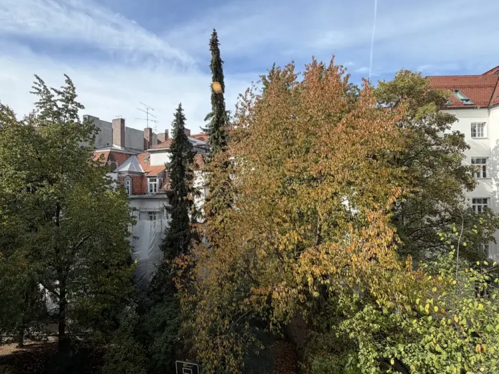 Beautiful 1-Room Apartment in Lehel