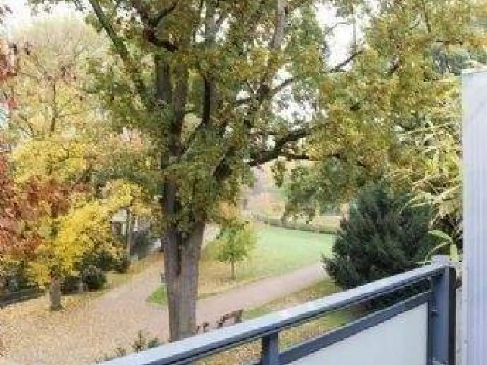 Frankfurt Messe Special: Ihr möbliertes Designer-Studio (23 m²) in Grün-Oase, ab 40 €/Tag, kautionsfrei & all-inclusive!
