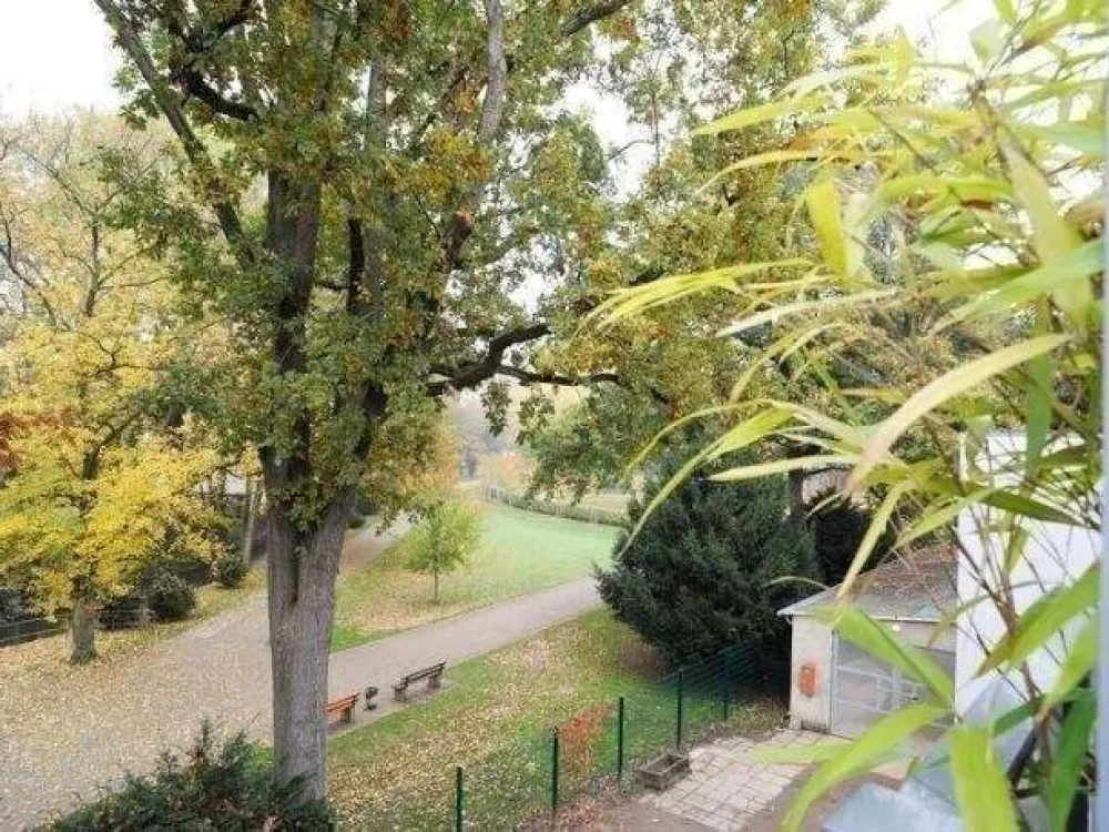 Frankfurt Messe Special: Ihr möbliertes Designer-Studio (23 m²) in Grün-Oase, ab 40 €/Tag, kautionsfrei & all-inclusive!