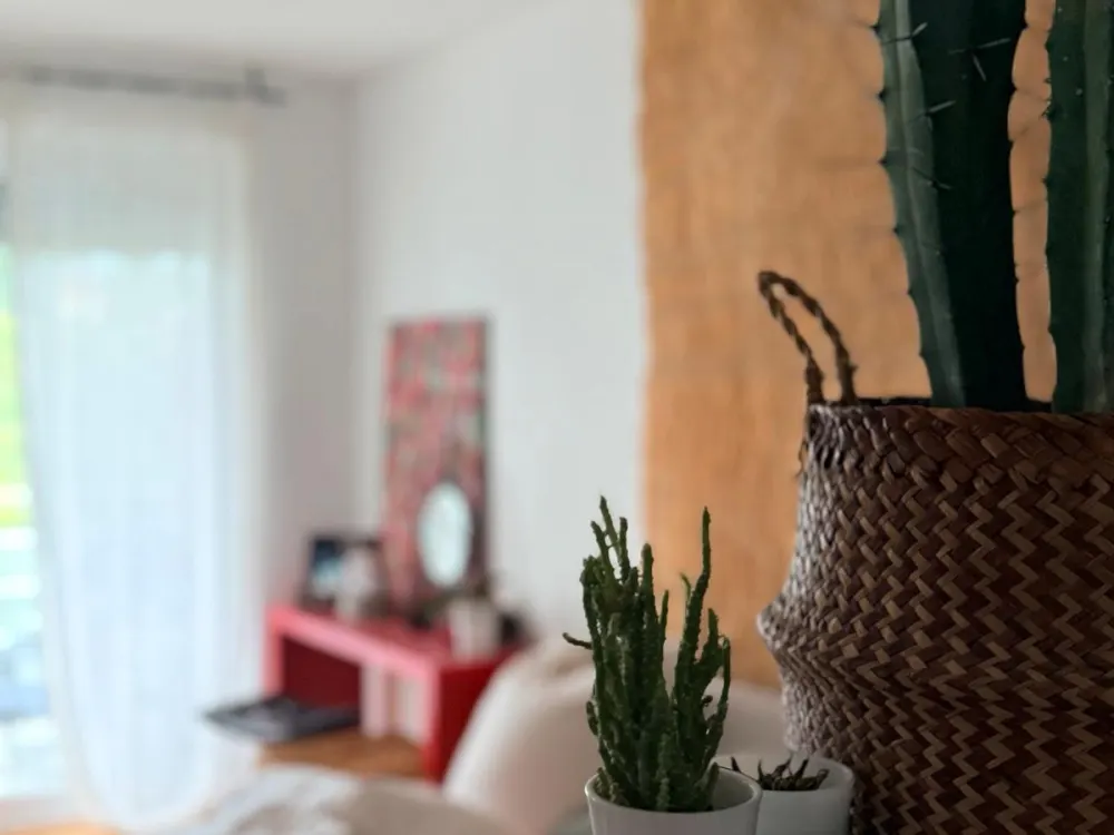 Untermiete 2 Zimmer, Mitte Nov bis Anfang Dez, Schwabing