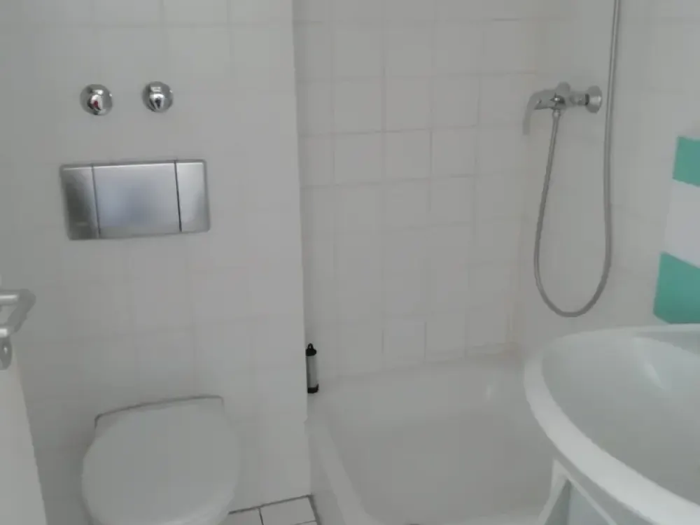 Möbliertes 1-Zimmer Apartment mit XXL Terrasse | Schnieglinger Straße