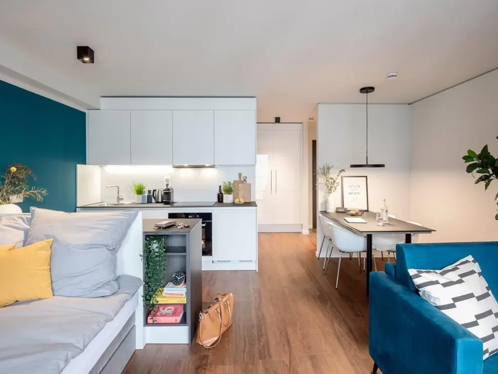HAVENS LIVING: Standard Category, Fully Furnished Apartment, Classic Design