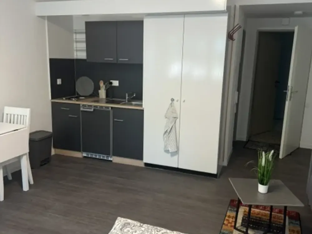 Kelsterbach nahe Terminal 1 Apartement neu kompl.möbliert