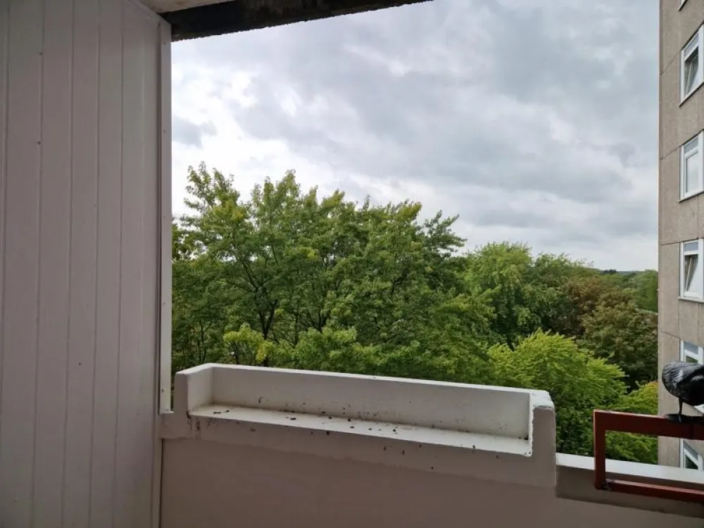 Die gefällt mir: komplett renovierte 3-Zimmer-Wohnung mit Balkon!