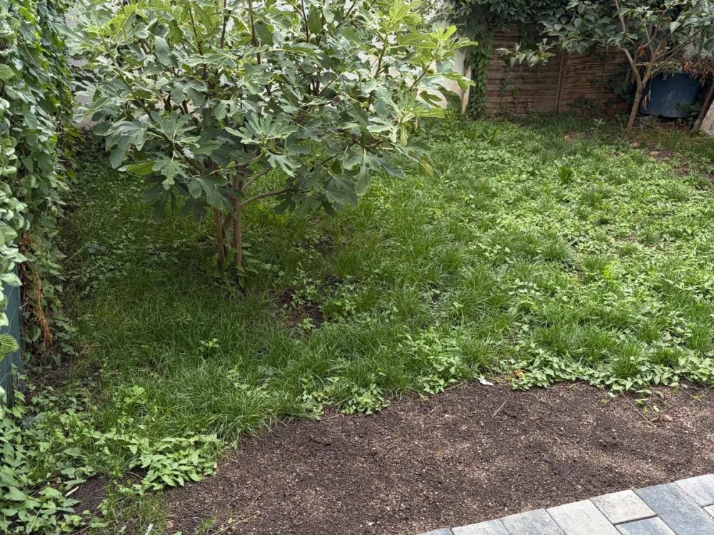 3 Zimmer Wohnung in Leonberg mit Garten und Terrasse