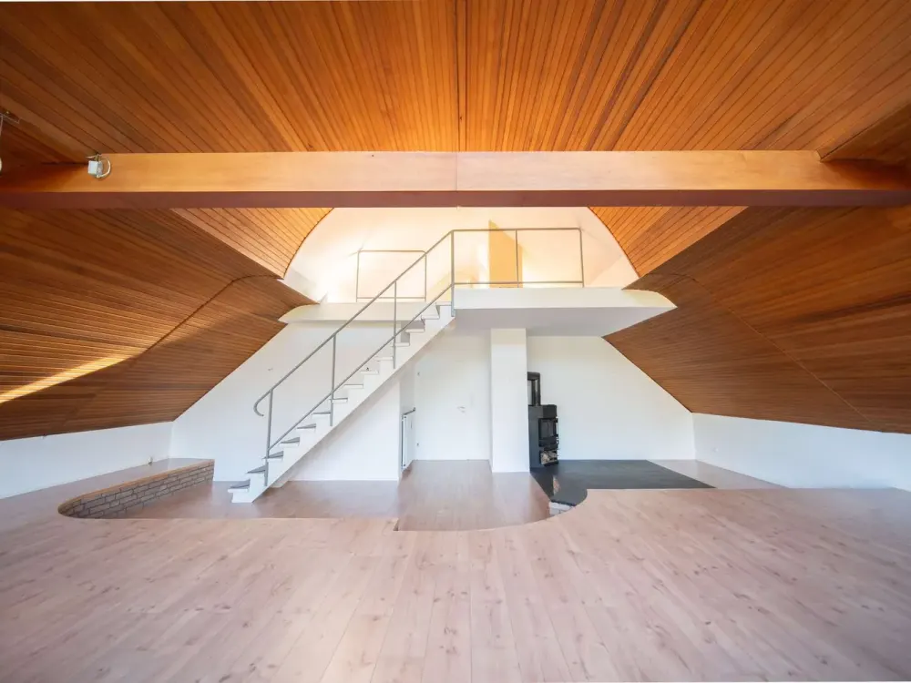 Spacious Penthouse Apartment with Gallery and Roof Terrace
