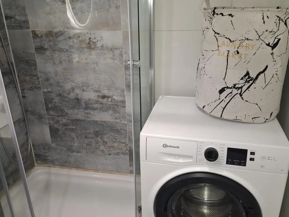 1-Zi-Wohnung ab November -voll möbliert, mit Balkon u. guter Lage