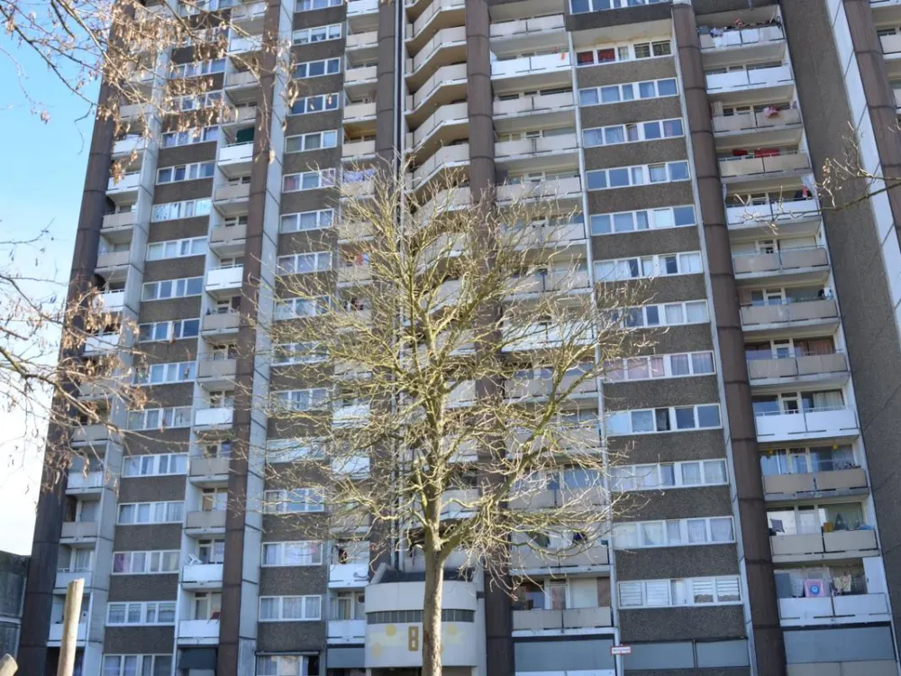 3 Room Apartment in Meschenich
