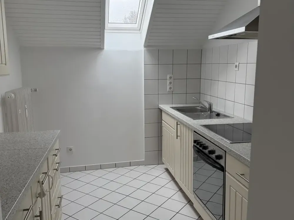Attic Apartment with Distant View