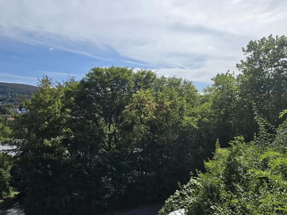 Hübsche 2 Zimmerwohnung mit großem Balkon zu vermieten!