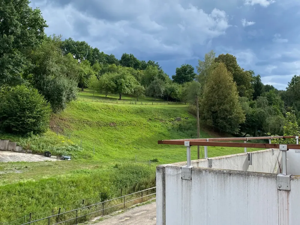 Direkt am Wald - 3,5 ZW mit EBK, Terrasse und Balkon