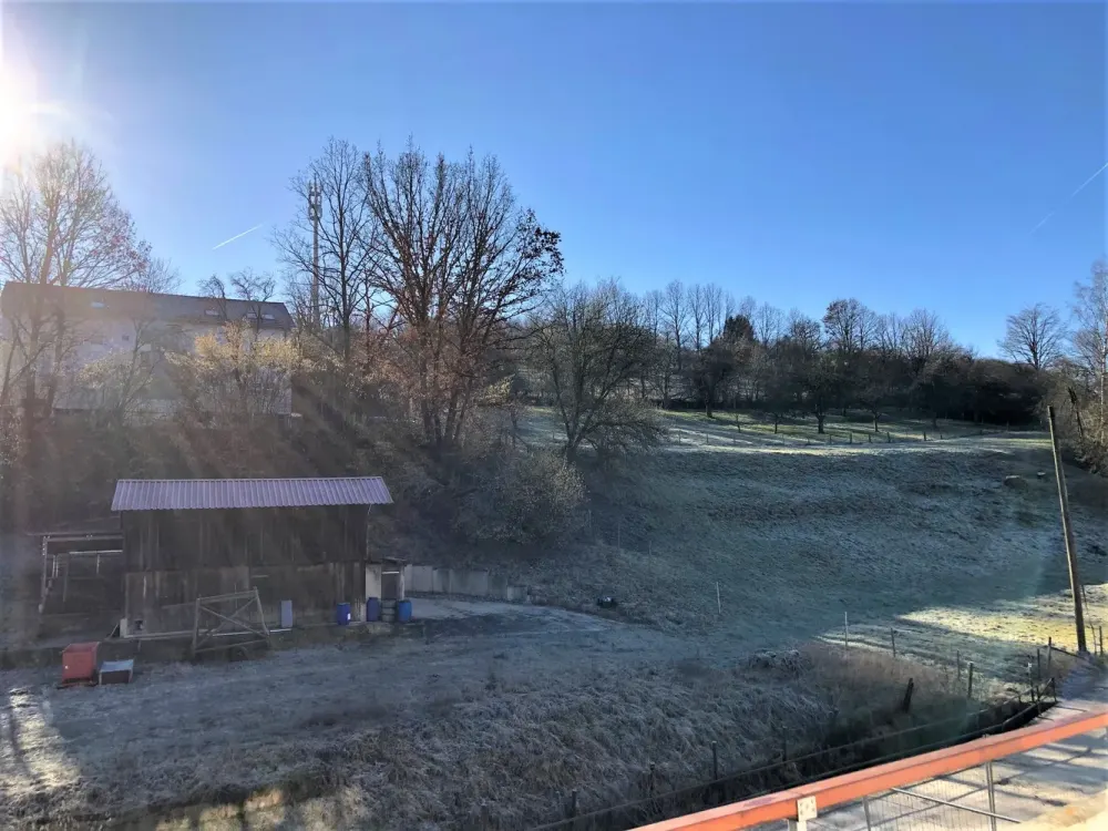 Direkt am Wald - 3,5 ZW mit EBK, Terrasse und Balkon
