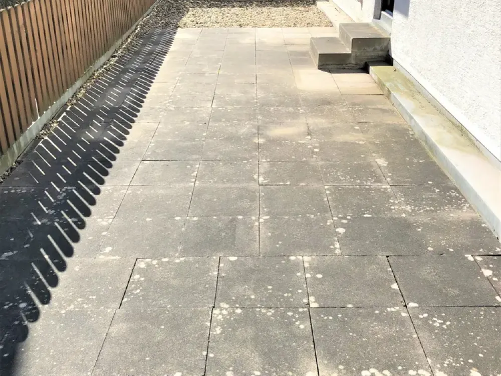 Direkt am Wald - 3,5 ZW mit EBK, Terrasse und Balkon