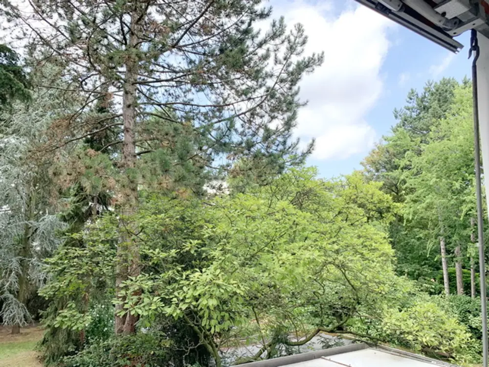Großräumige, 2- Zi.- Whg. mit sonnig. Balkon, sehr gute Lage von D-dorf Golzheim, unweit vom Rhein!