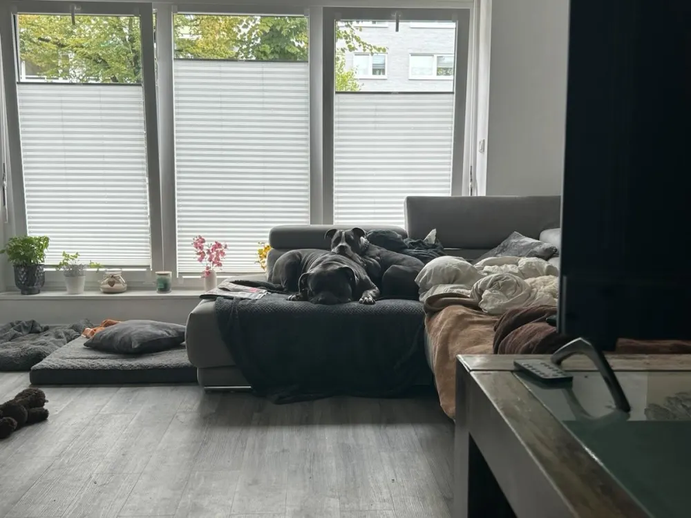 Nachmieter für 3 Zimmer Wohnung EG mit Garten/Terrasse gesucht