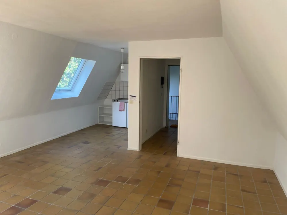 1 Zimmer Wohnung Kreuzviertel