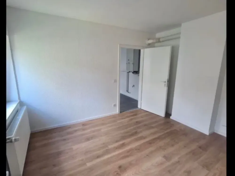 Nice Apartment Seeks New Tenant