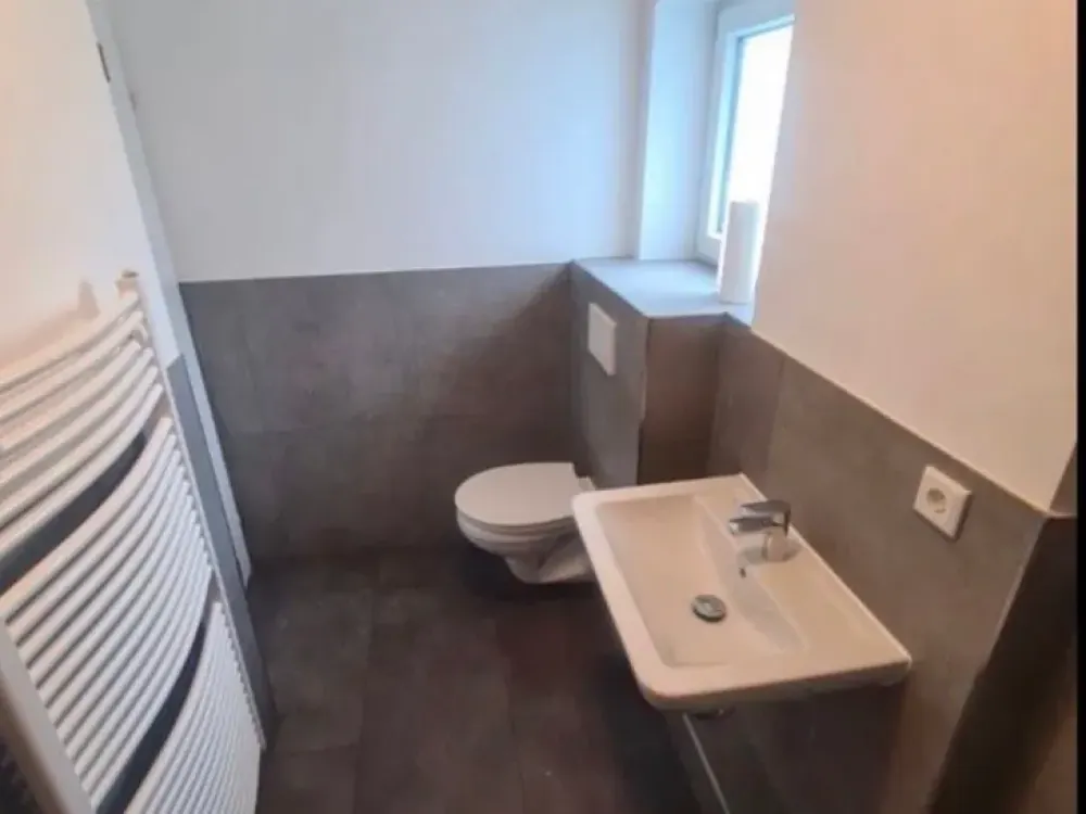 Nice Apartment Seeks New Tenant