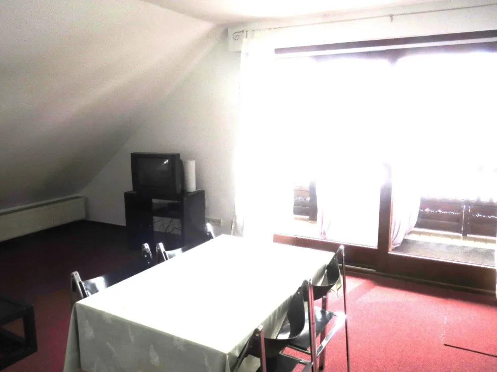 Möbliertes, großes 1 Zimmer-Apartment, inkl. EBK, Waschmaschine, WLAN, Balkon, in Maintal-Hochstadt