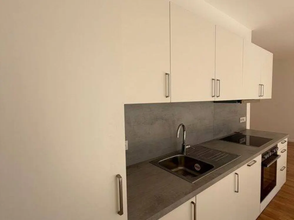 Spacious 2-Room Apartment: Fitted Kitchen and Balcony