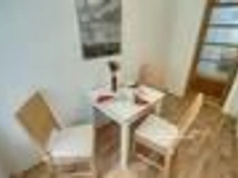 27544 HomeCompany Dresden Furnished 3-Room Apartment in Dresden-Pieschen max. 3 Persons
