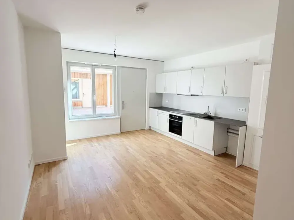 1 Zimmer - Sheddach Höfe