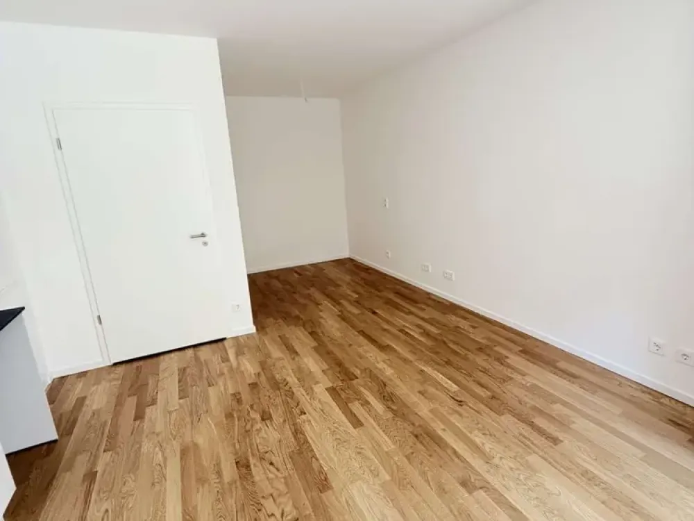 1 Zimmer - Sheddach Höfe
