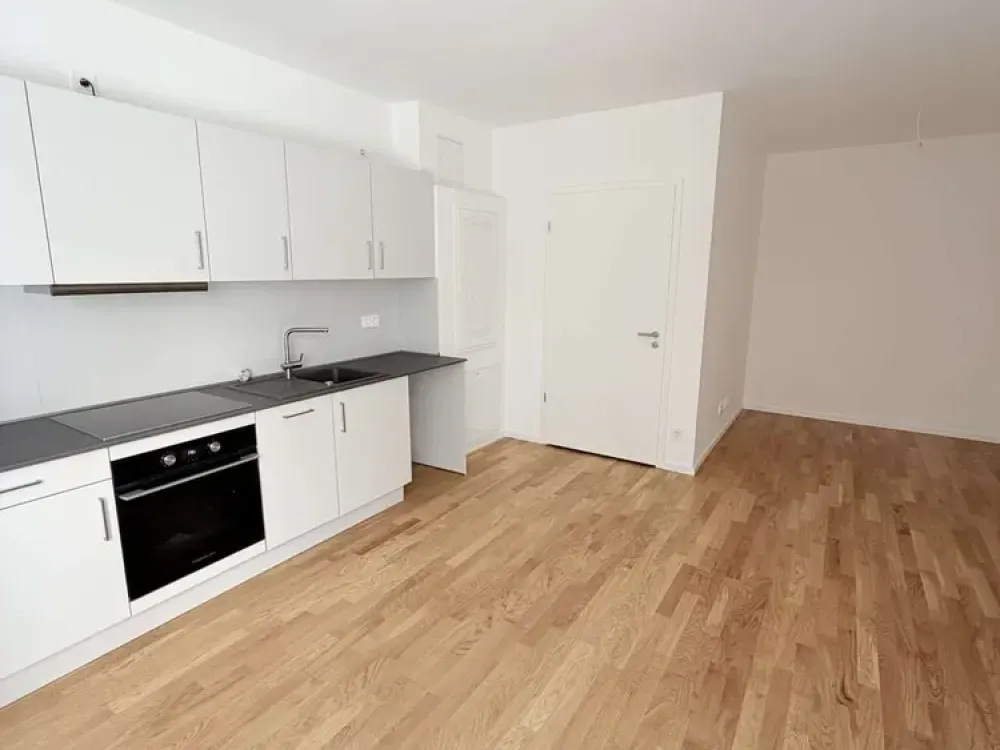 1 Zimmer - Sheddach Höfe