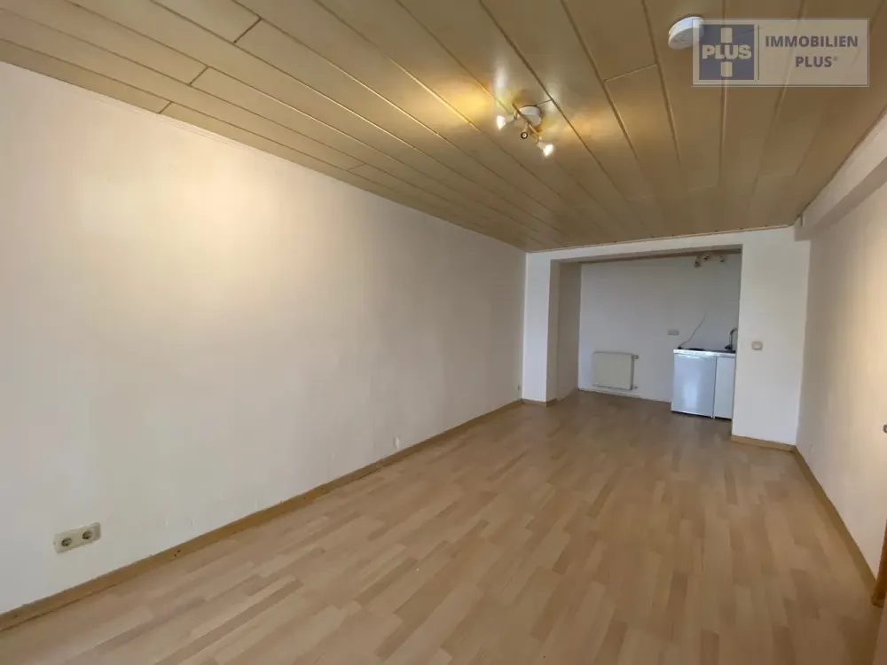 HEUSWEILER-HOLZ; SPACIOUS ONE-ROOM APARTMENT FOR RENT