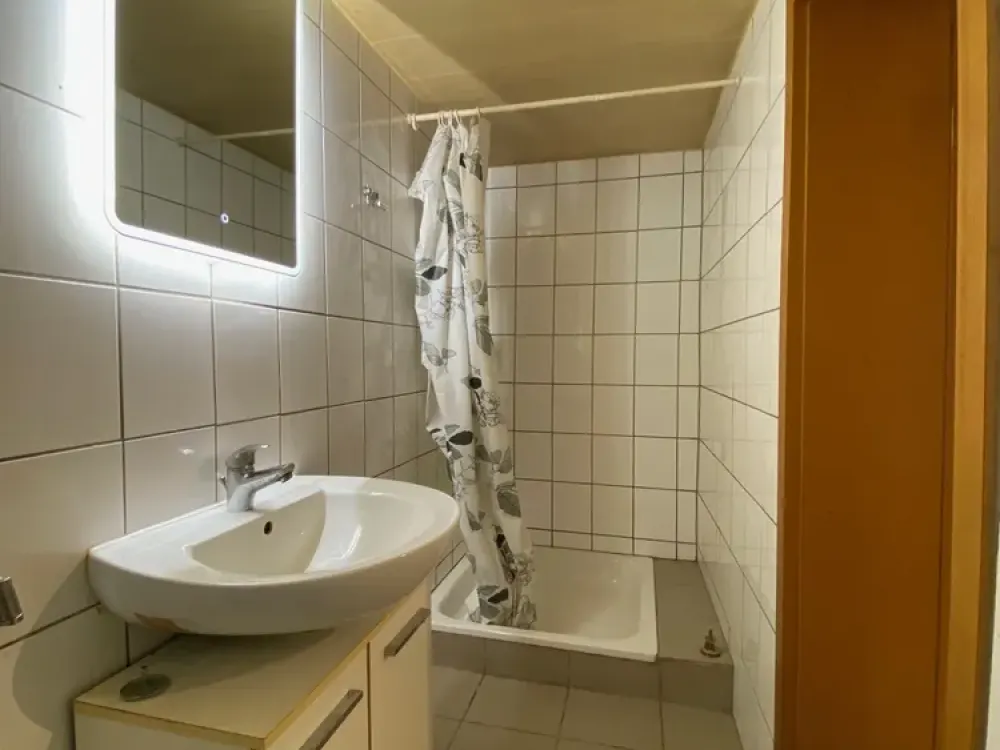 HEUSWEILER-HOLZ; SPACIOUS ONE-ROOM APARTMENT FOR RENT