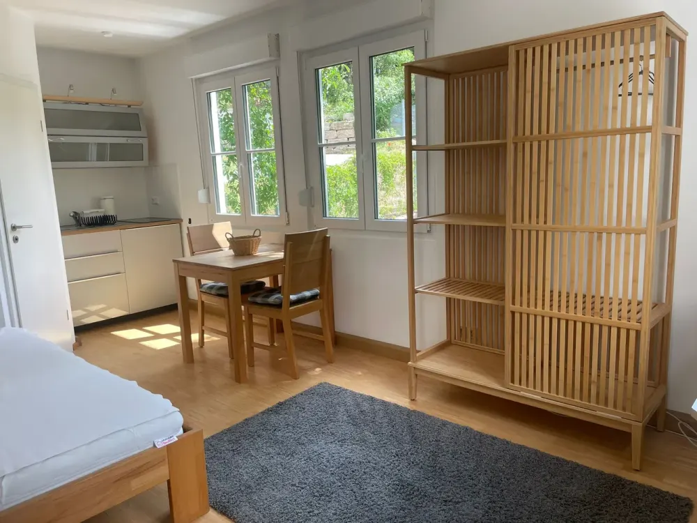 Helle 1-Zimmer-Wohnung in Stuttgart mitten in den Weinbergen