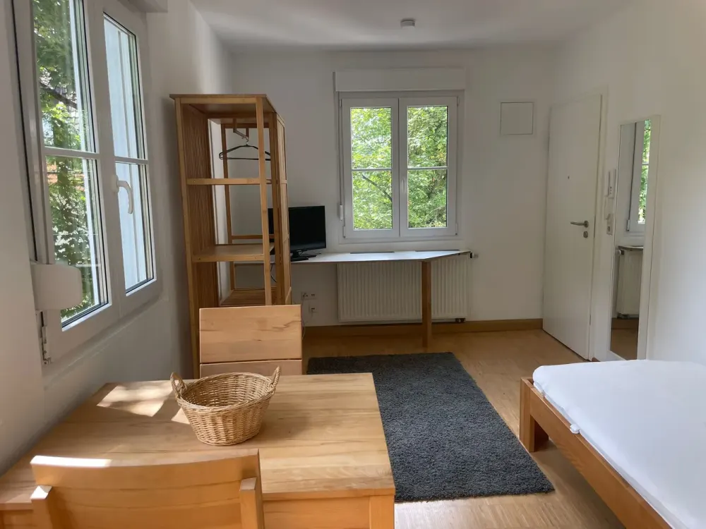 Helle 1-Zimmer-Wohnung in Stuttgart mitten in den Weinbergen