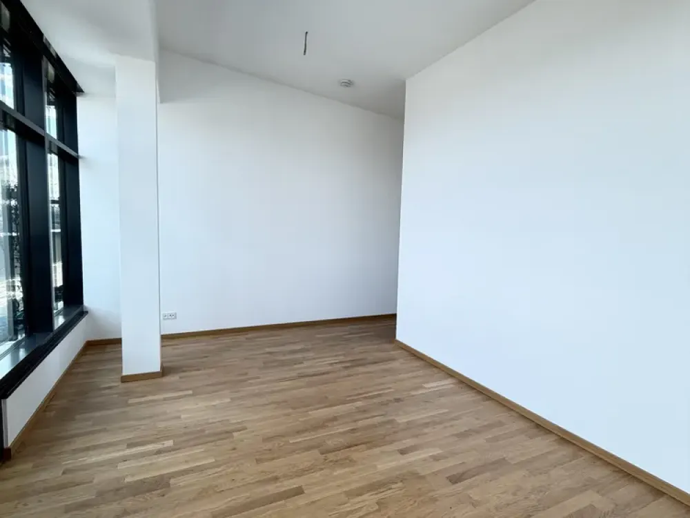 Living with a View: Exclusive Penthouse Apartment with Terrace in First Occupancy