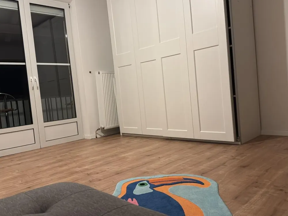 Bright, Cozy 2-Room Apartment (Temporary Sublease)
