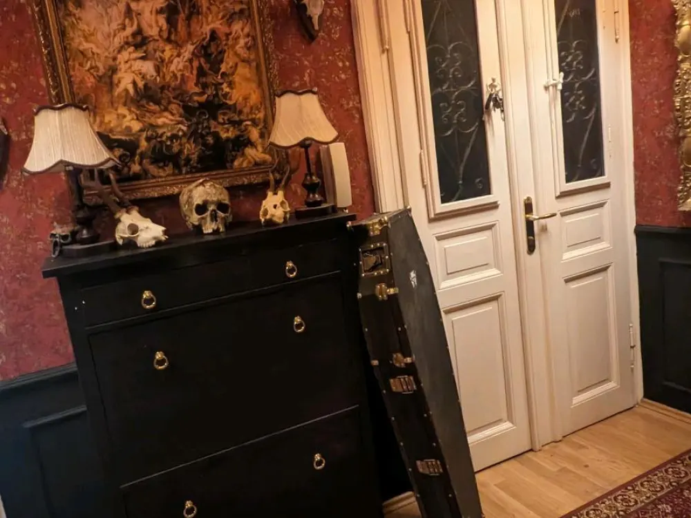 Einzigartige stylische 3 Raum Wohnung Leipzig Connewitz