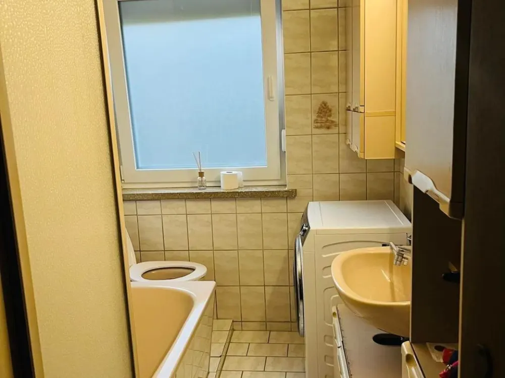 Apartment for Rent ( short term)