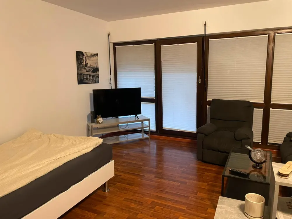 1 Zimmer Wohnung/ Apartment voll möbliert in Top Lage