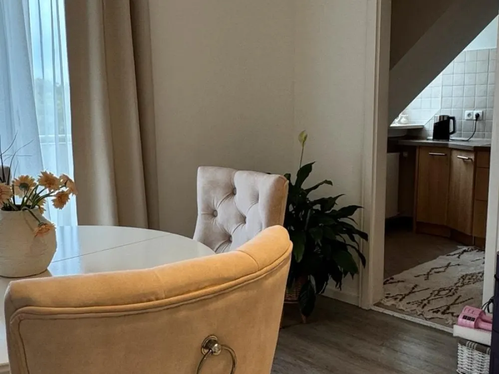 Helle, voll möblierte 1-Zimmer-Wohnung mit Balkon