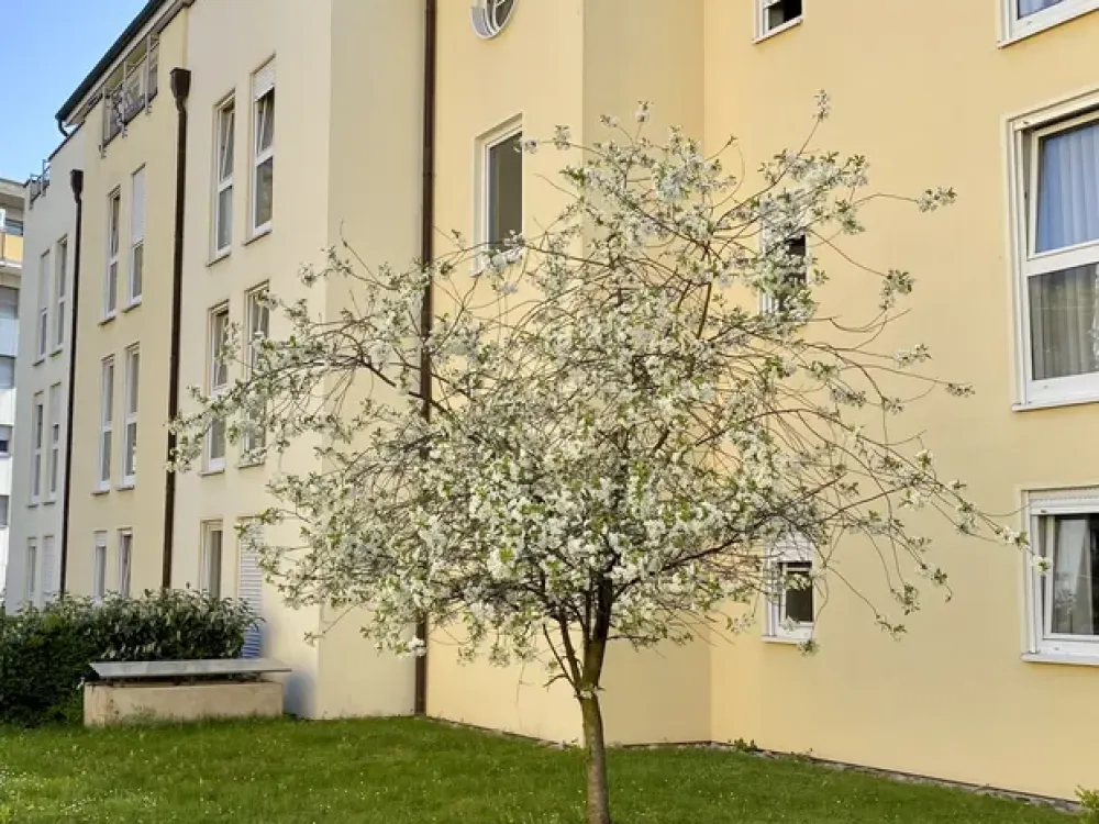 Furnished Apartment for 2 | All-Inclusive Rent incl. Electricity & Internet | U6 to Frankfurt
