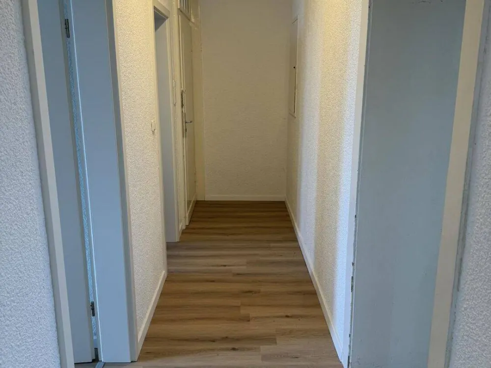 moderne, geräumige Wohnung in zentraler Lage
