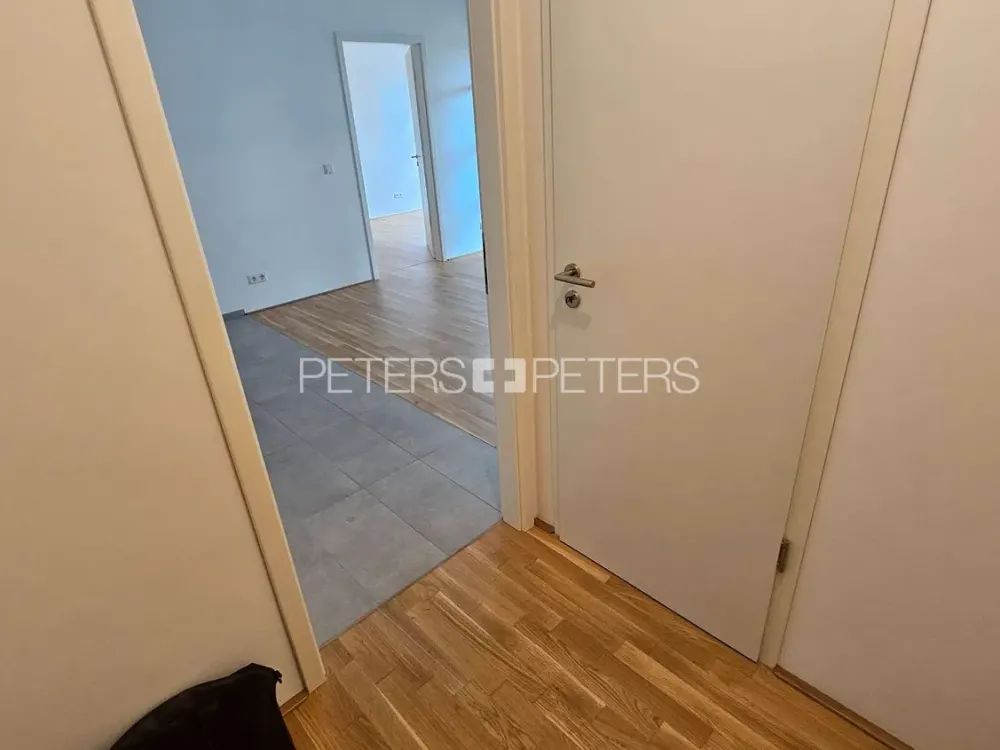 + صغير لكنه راق + بدون مطبخ مدمج +
