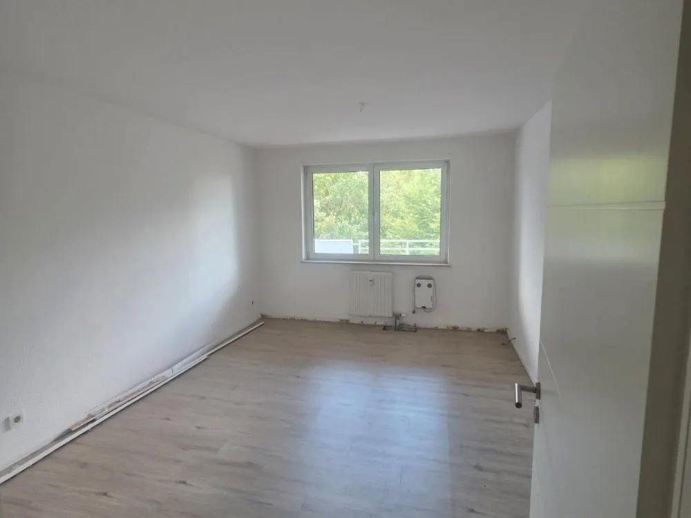 3 zimmer Wohnung